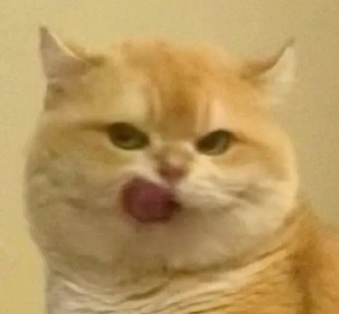 ScreenShot_2026-01-14_093508_484