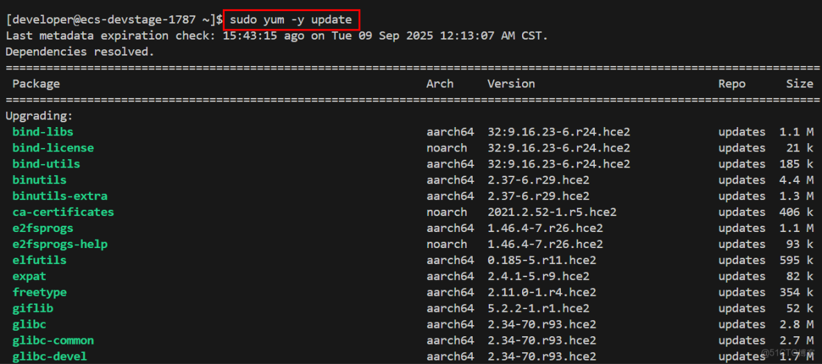 基於遠程開發環境部署Django與開發者空間GaussDB的極簡博客系統_開發者_10