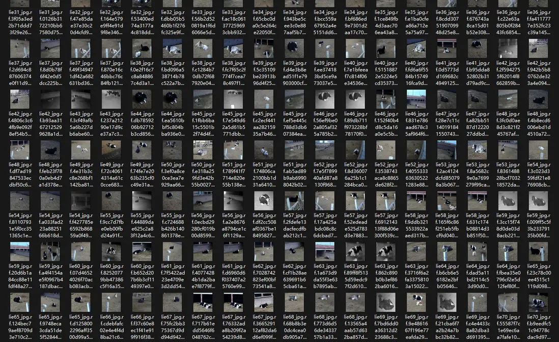 在這裏插入圖片描述