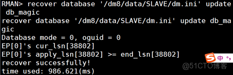 DM8 主備 docker_守護進程_09