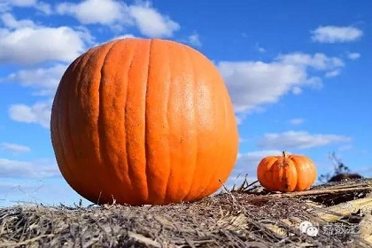 如何理解 embedding size_思維方式