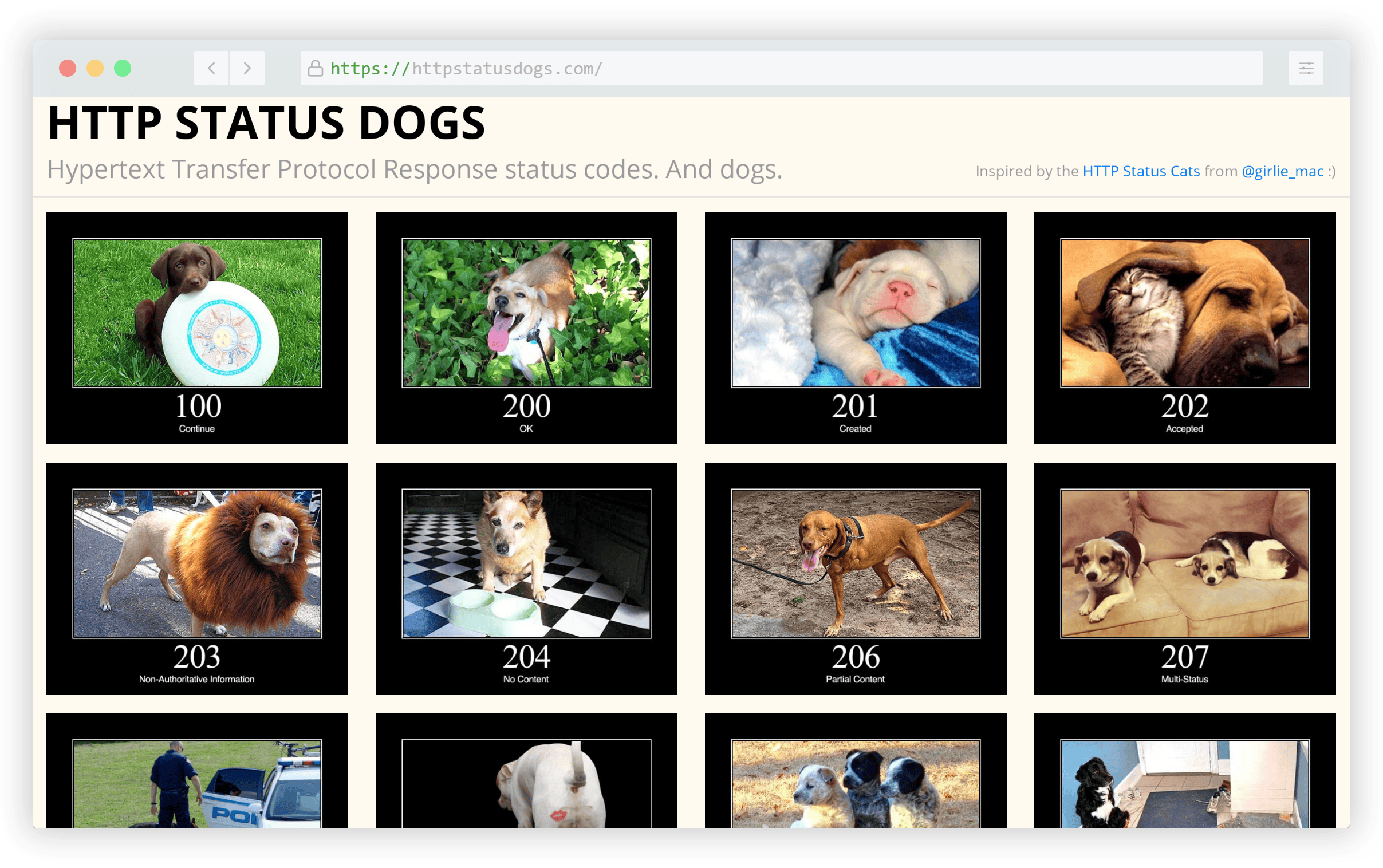 HTTP Status Dogs