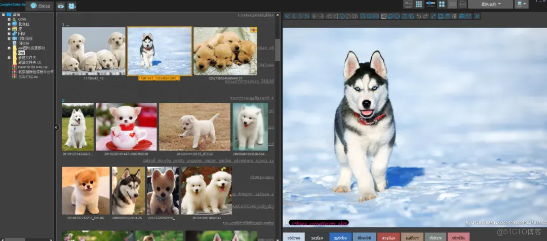 Pro版強勢來襲，強到離譜_圖片管理_04