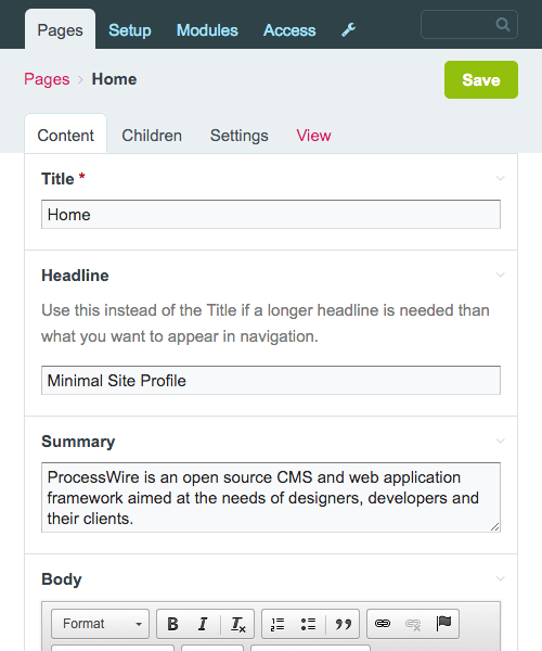 Screenshot of the opened Home page