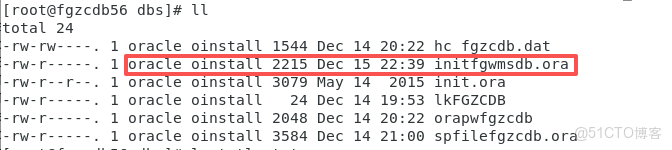 ORA-01078: failure in processing system parameters LRM-00109: could not open parameter file / 解決方法_用户名_06