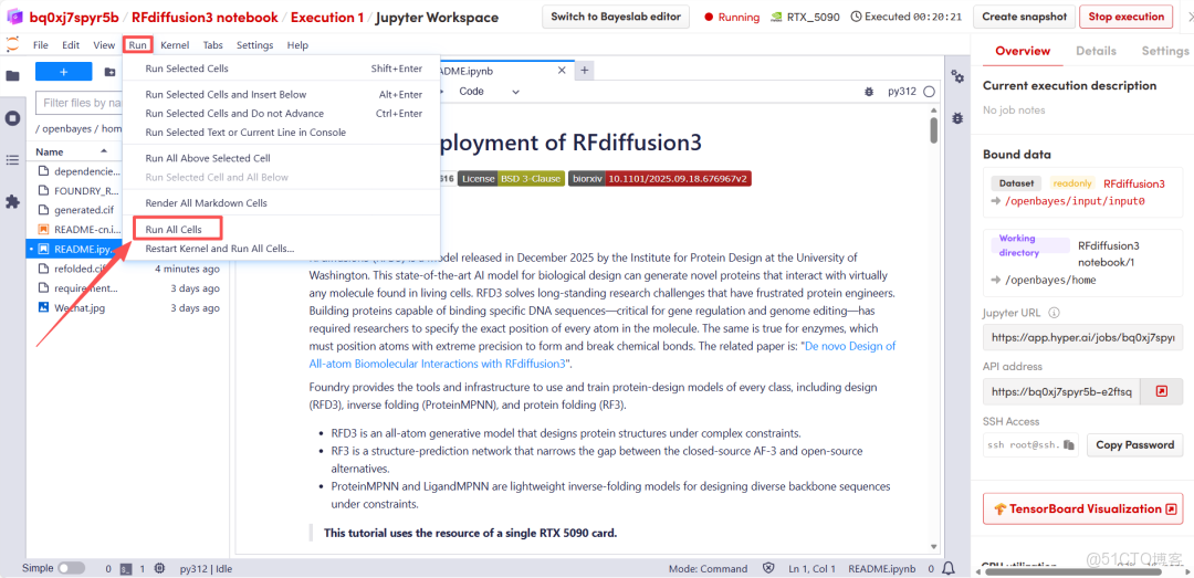 在這裏插入圖片描述