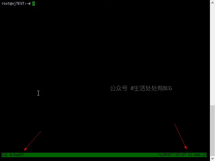 Tmux-demo-image (1)