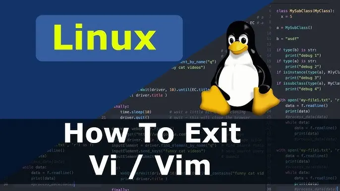 Recover Files Using Swap Files in Vim