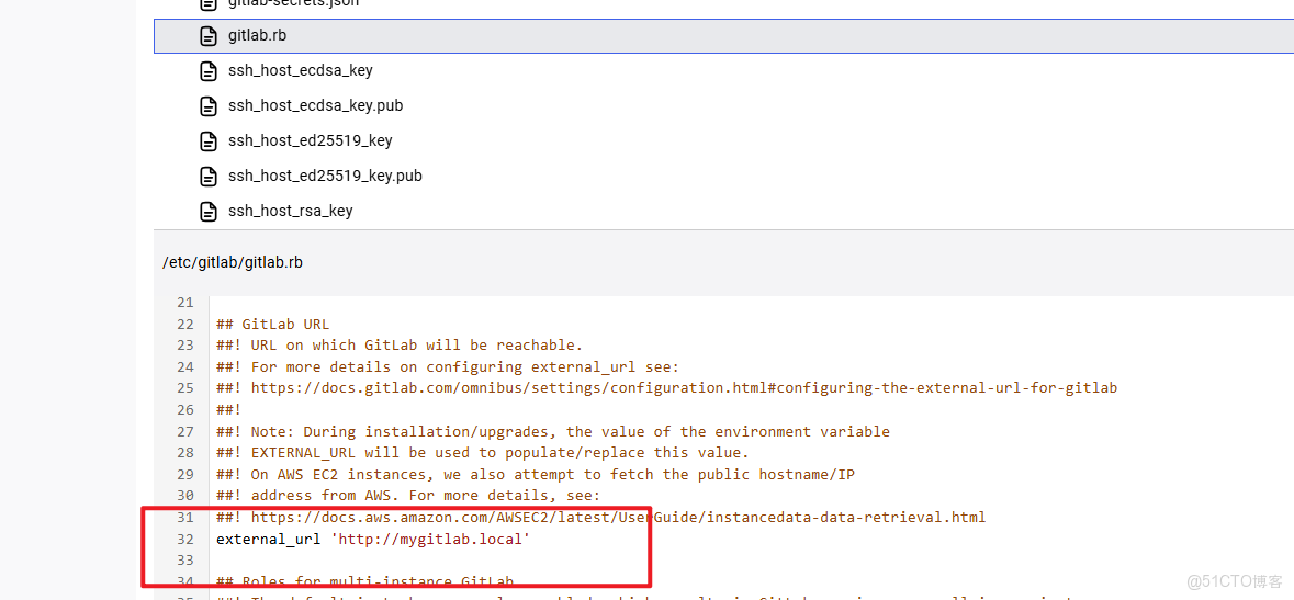 基於GitLab+SonarQube 搭建自動化代碼檢測平台_gitlab sonar_docker_03