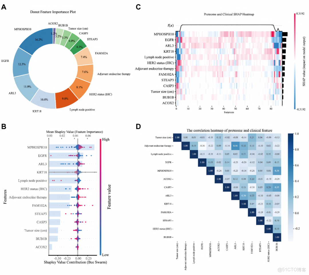 iMetaMed | 温附一夏二傑組-預測乳腺癌5年生存率-可解釋機器學習模型_模型預測_05
