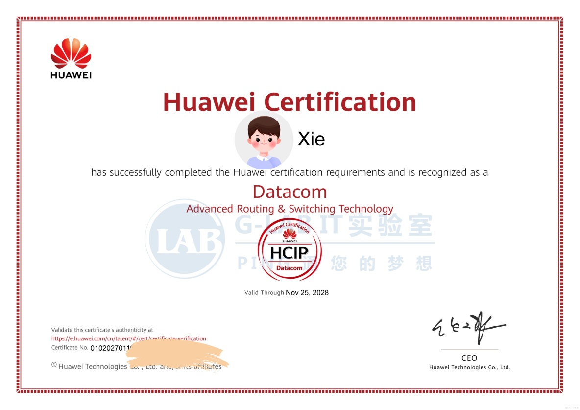 HCIP：被業界廣泛誤讀的“中級優質認證”！_網絡工程師_03