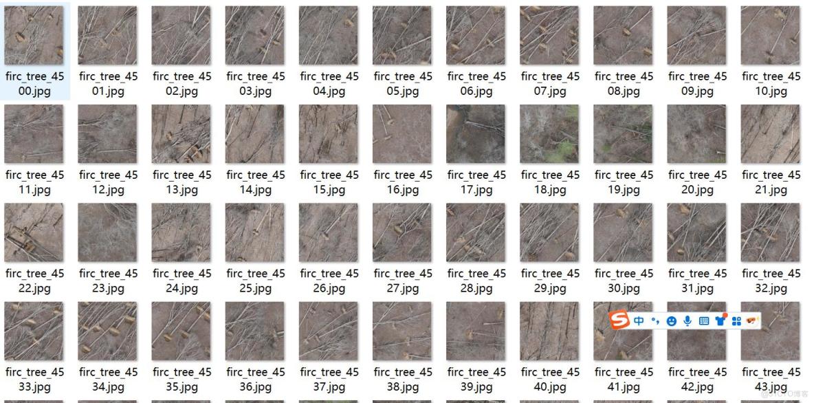無人機視角森林倒樹識別分割數據集labelme格式5018張2類別_json_02