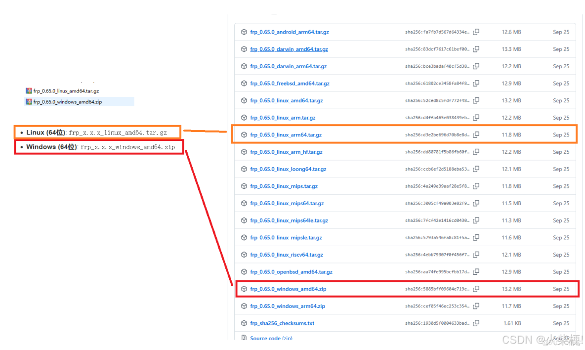 配置frp 實現內網穿透（Linux）_#運維