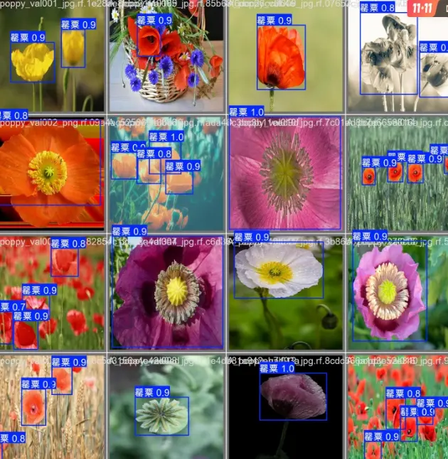 在這裏插入圖片描述