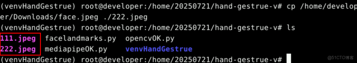 【案例共創】基於華為雲開發環境桌面版的人臉顏值打分_python_15