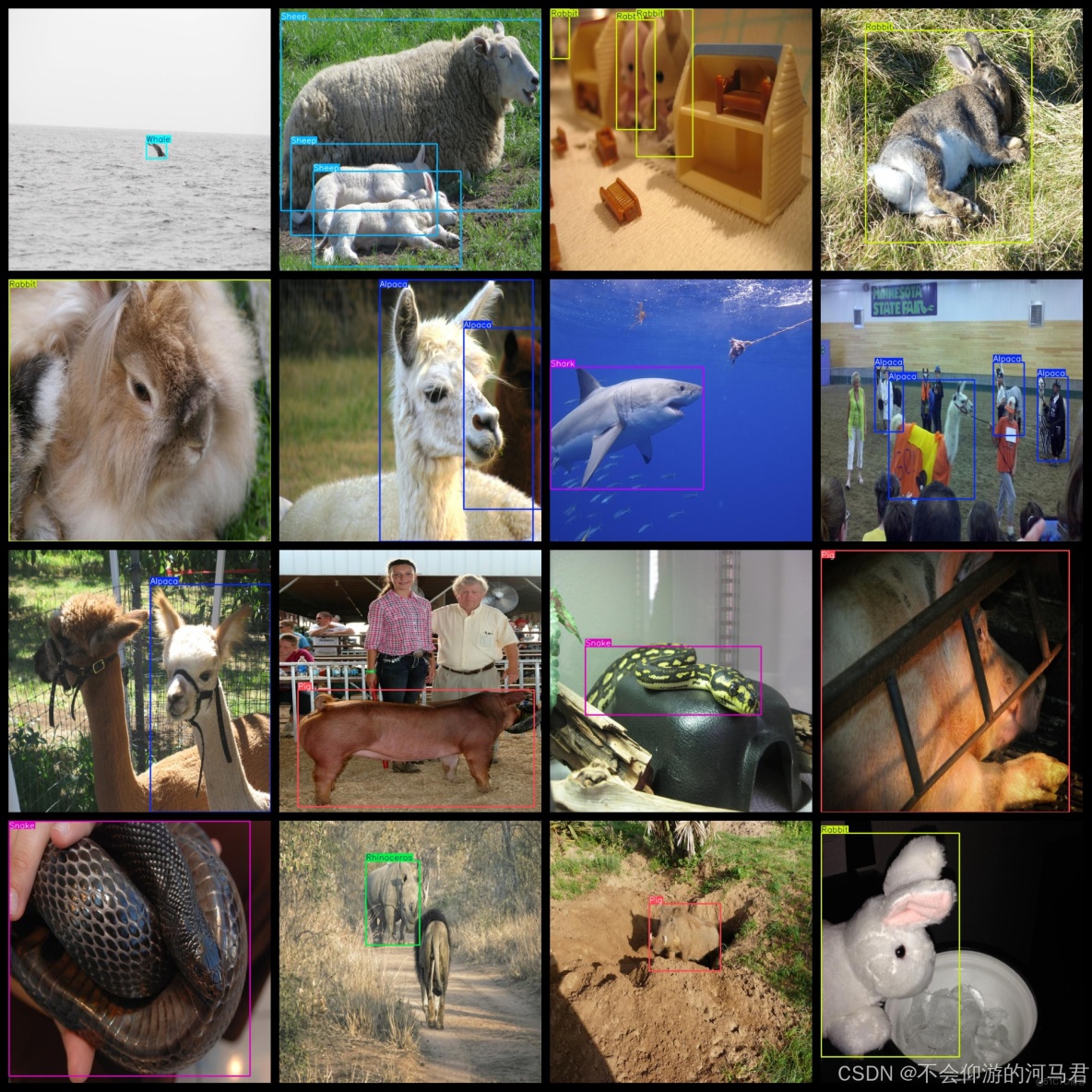 13種動物數據集9800張VOC+YOLO格式_txt文件