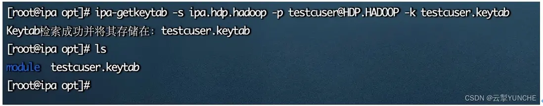 在這裏插入圖片描述