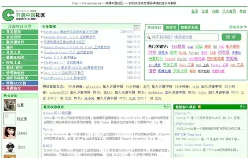 2008年，開源中國正式上線