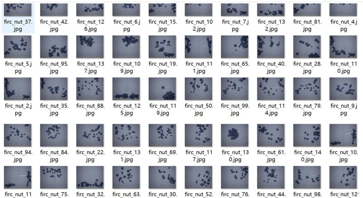 螺絲型號檢測數據集VOC+YOLO格式246張6類別_xml文件