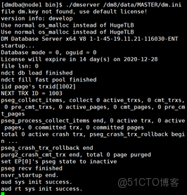 DM8 主備 docker_數據庫_04