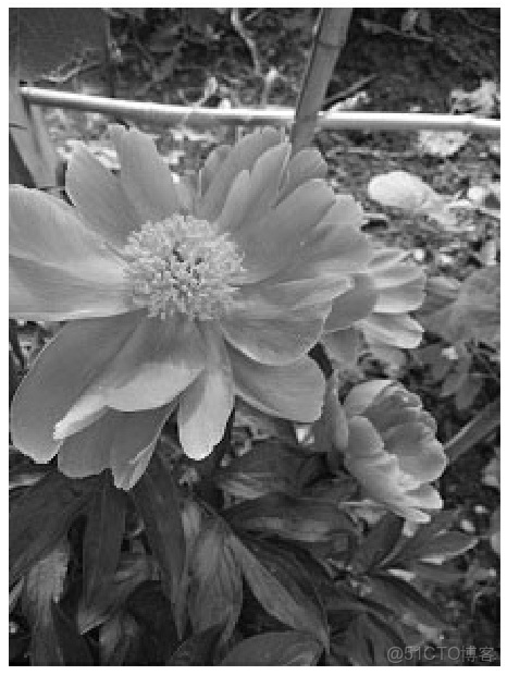 Python 數據科學入門教程：OpenCV_#計算機視覺_14