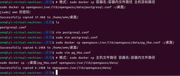 Ubuntu系統使用Docker安裝openGauss數據庫完整教程_docker_22