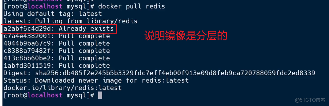 SpringCloud微服務技術棧.黑馬跟學(二)_docker_18