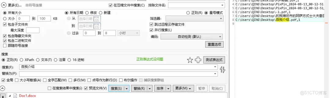 全類型支持，超越Everything_搜索_07