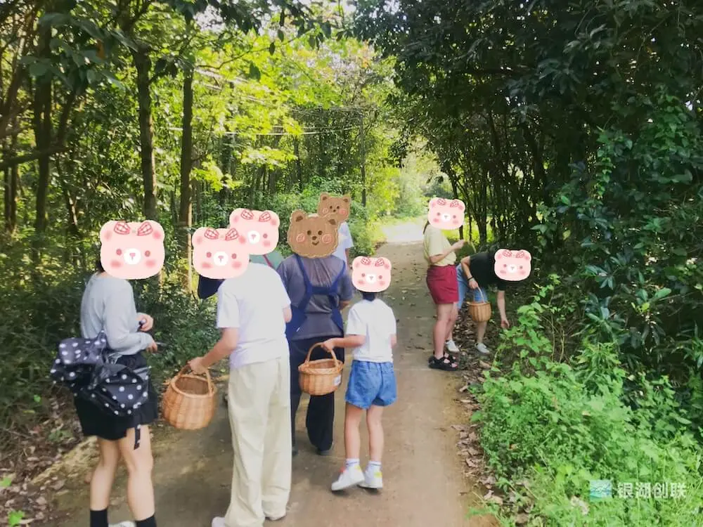 國慶喧囂逃離計劃：窯烤麪包＋植物拓染