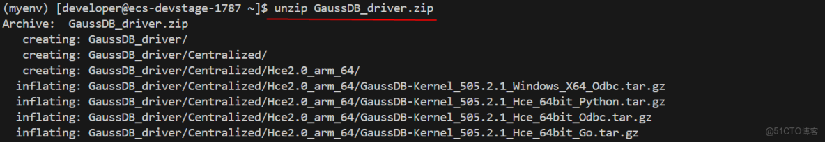 基於遠程開發環境部署Django與開發者空間GaussDB的極簡博客系統_開發環境_19