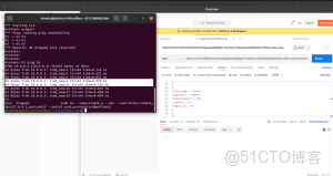 SDN控制器與雲平台對接_自定義_11