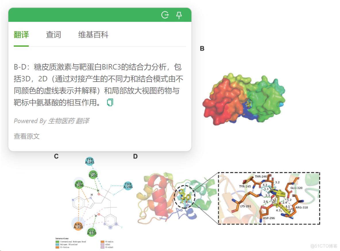 如何使用autodl連接docker_3D_02