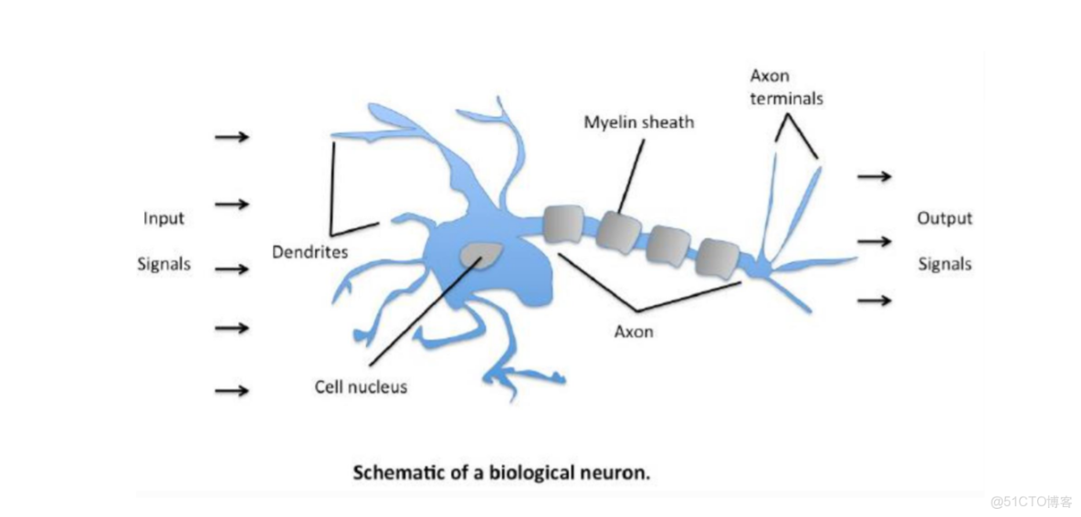 單層感知機是邏輯迴歸嗎_感知機