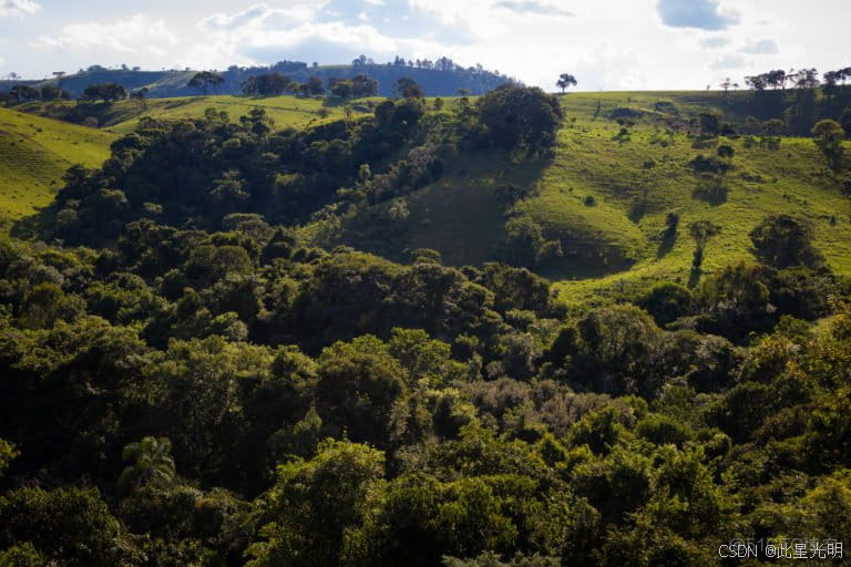 LBA-ECO ND-11 在巴西馬託格羅索州西北部未受干擾和採伐過的森林中的更新_github