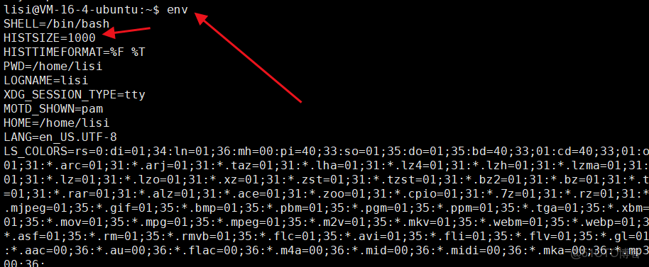 【Linux】環境變量和命令行參數_命令行 變量_bash_10