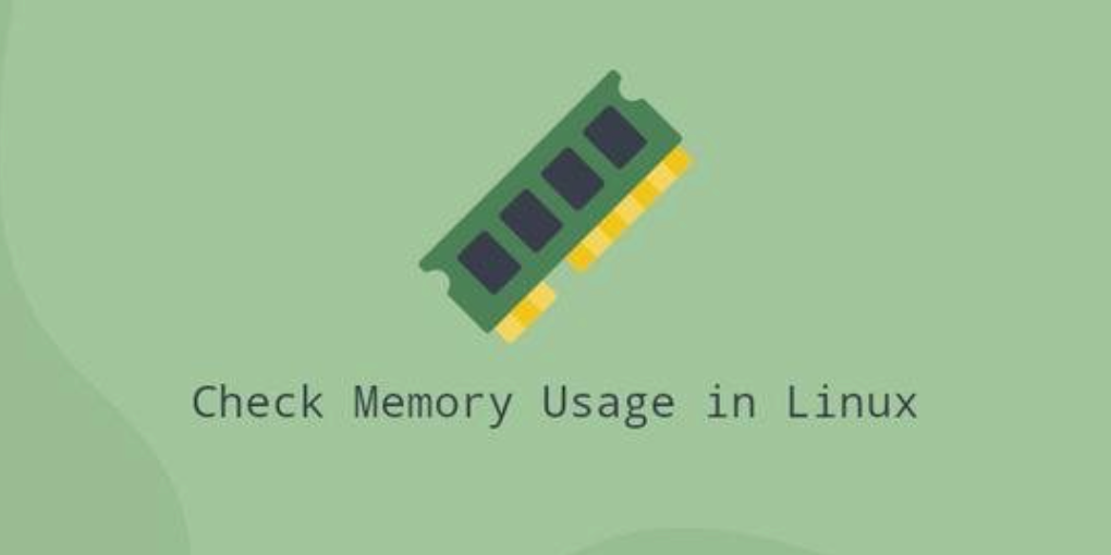 Check Memory Usage in Linux