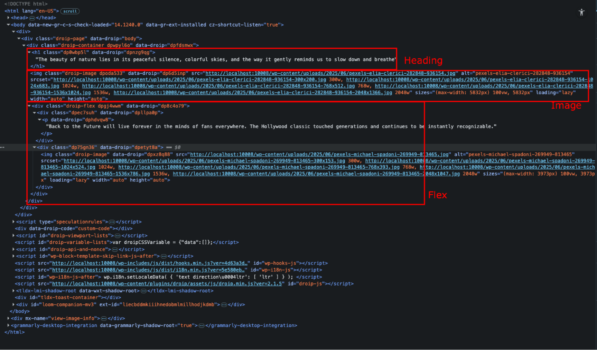Screenshot of Droip’s clean semantic HTML code structure.