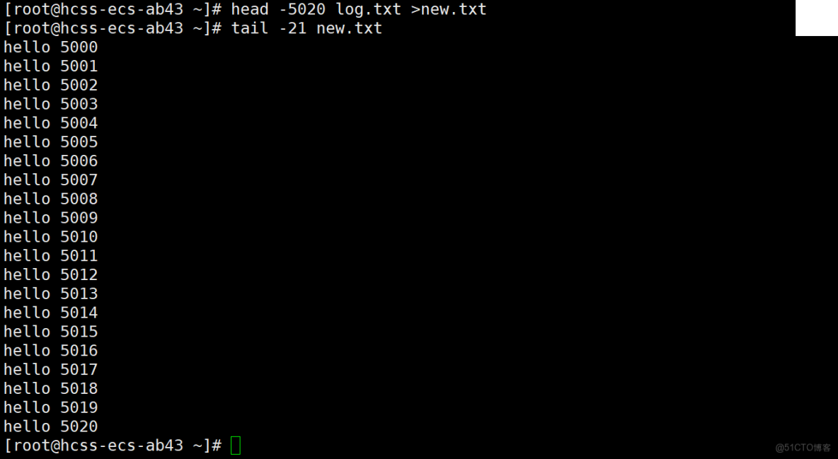 Linux管理文件與處理數據_文件描述符_14