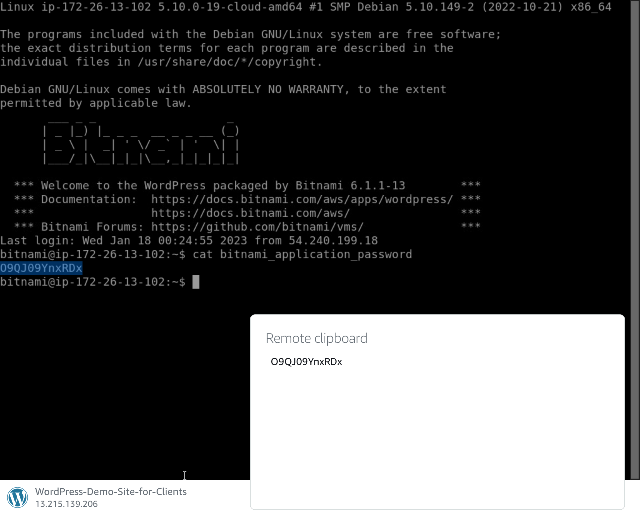 Copying the password to the clipboard