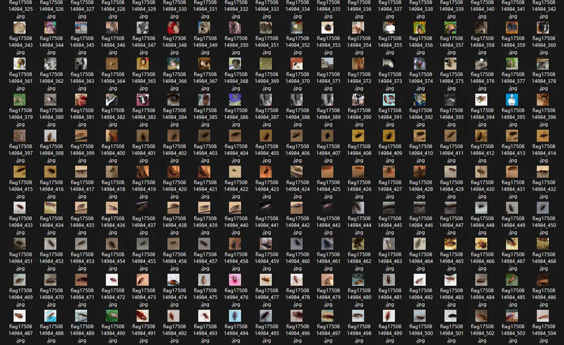 在這裏插入圖片描述