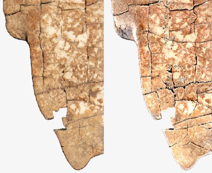 在這裏插入圖片描述