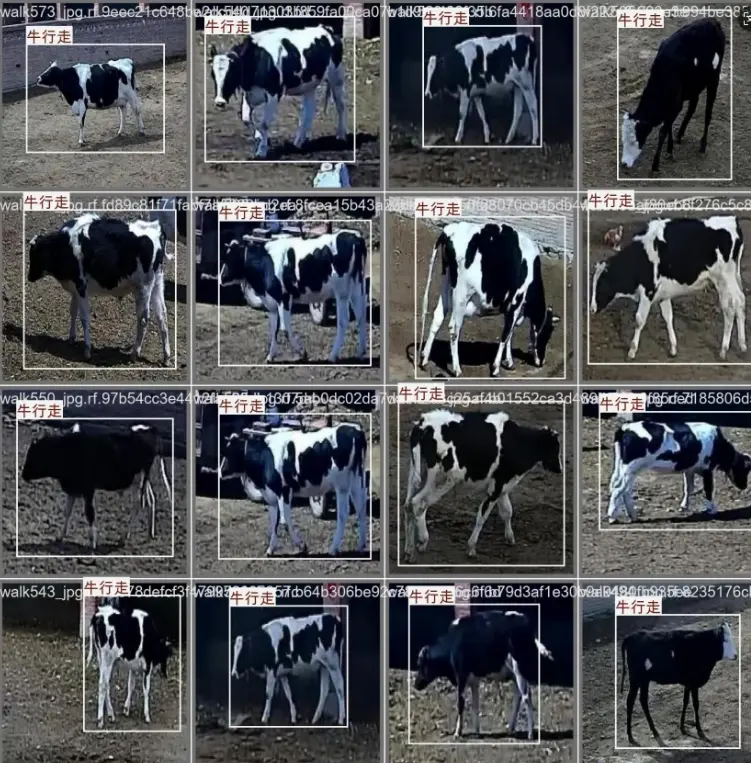 image-20251109013236807