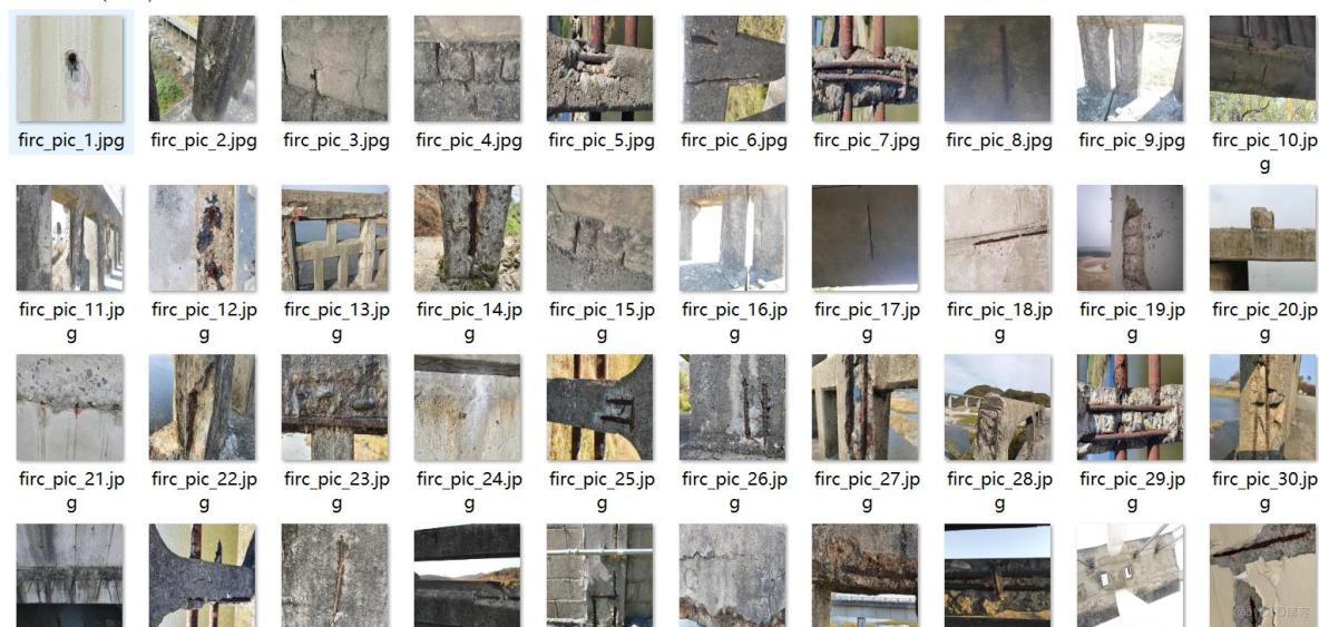 建築物混凝土裂縫剝落泛鹼碳化缺陷識別分割數據集labelme格式5276張10類別_ci