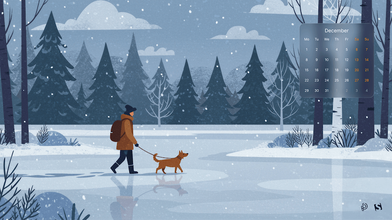 A Quiet December Walk