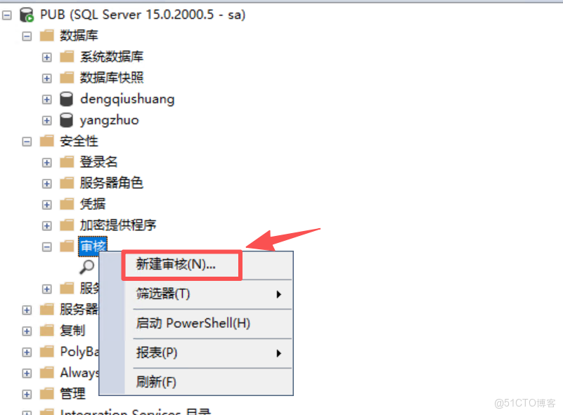 SQLServer 審計（默認，圖形）_SQL