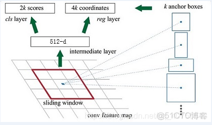 fastrcnn權重_寬高_07