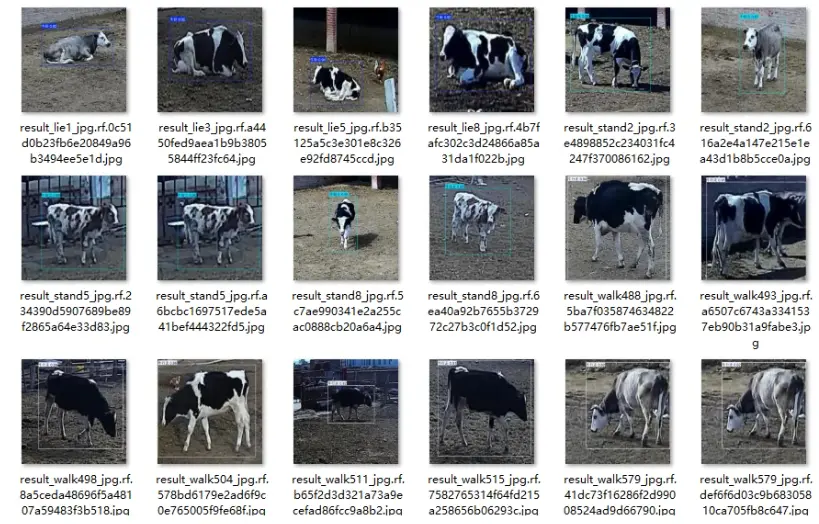 image-20251109013138097