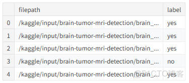 深度學習實戰-基於Vision Transformer的腦腫瘤MRI圖像識別_Image