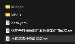 在這裏插入圖片描述