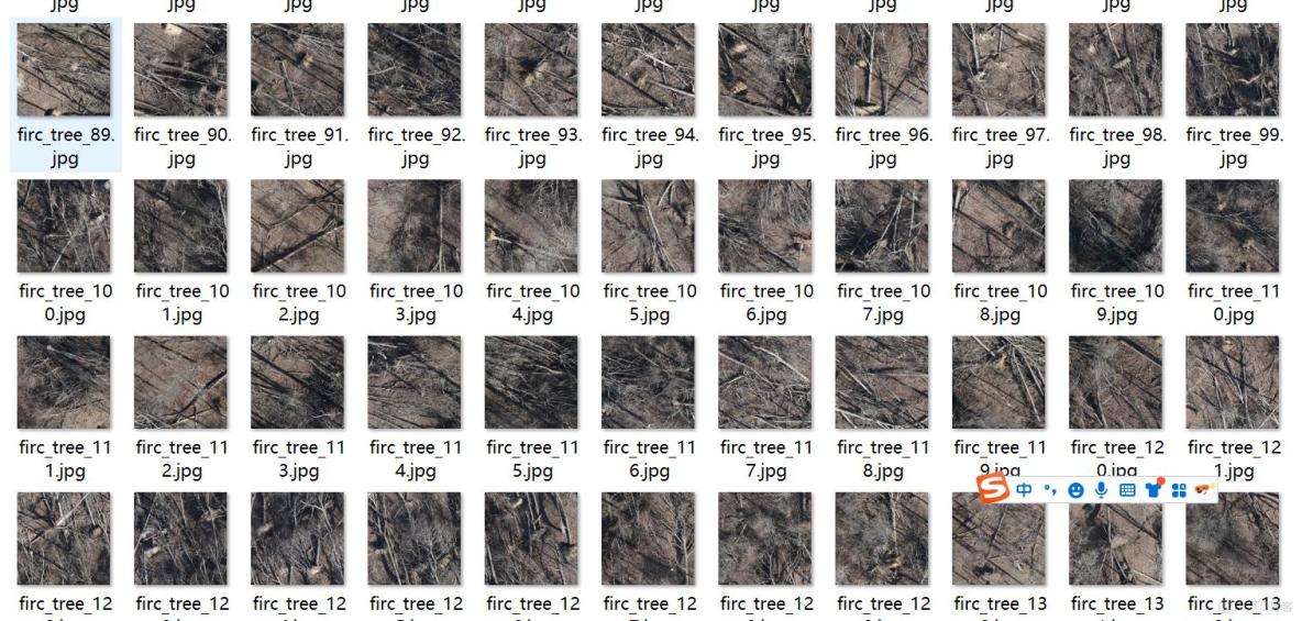 無人機視角森林倒樹識別分割數據集labelme格式5018張2類別_無人機